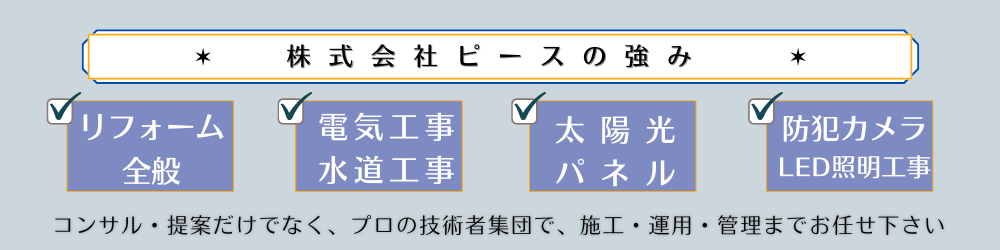 株式会社PEACEのつよみ